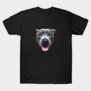 Pit Bull Staffordshire Bull Terrier Blue Staffy T-Shirt